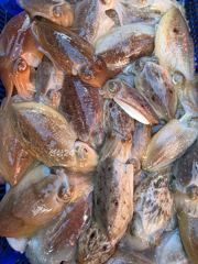 10월9일세븐피싱이예요수고많으셨어요감사합니다