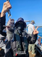[공현진항 짱피싱호] 10월9일 락피쉬