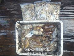 홍원항 쭈갑(주꾸미&갑오징어) 10월 9일(금) [[[ 블랙펄호 ]] 초보 조사님이 많은 하루였지만 다들 즐거운 시간 보내고 [[ 주꾸미와 갑오징어]]도 넉넉하게 챙겨 입항합니다.