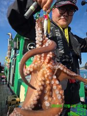10.9 문어 조황입니다