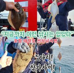 금요일 돌문어 폭팔조황 월화수 오전8시 출조모집