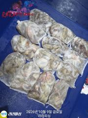 9일(야간문어) 토.일.월.예약가능 쭈욱무너잡으로갑니다