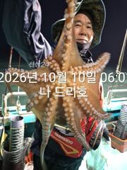 10일, 군산 왕문어 시즌~점점 덩치급 왕문어ok~오늘도 어김없이~실시간~군산낚시프라자 나드리호