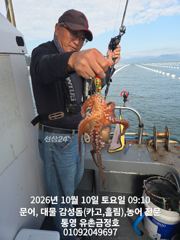 통영 금정호 대물문어선상 묵직하게 손맛보고 왔습니다 내일 자리있어요~
