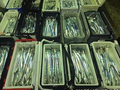 10일입항준내만4지급꾸준한입질쿨러만~당