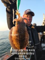 대호피싱 10월10일 갑오징어 마무리 잘하고 입항했습니다
