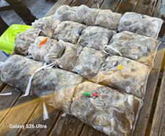 <자연호> 쭈+갑 오후 마무리 굿~조황(10일)