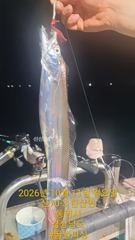 10월 10일 갈치 출조 후기 & 오늘 예약 가능