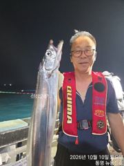 미친듯한 갈치!! 쿨러채워입항