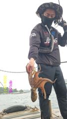 [사천] 돌문어 빅사이즈^^