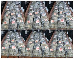 <발키리호> 쭈+갑 오후 마무리 조황(11일)-열낚하고 입항했습니다.
