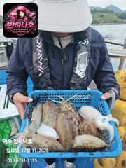 [여수반하나호]11일갑오징어 조황입니다.내일 자리여유1자리 있습니다