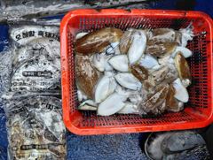 오천항 흑돼지호 10월 11일 갑오징어 조항
