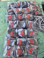 10월11일 갑쭈낚시(8인승)