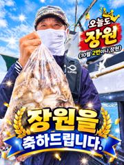 10월11일 주간 쭈꾸미