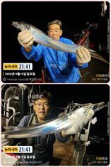 [통영] 통영 뉴 아시아호>> 4지급~5지급 대갈치로 쿨러 채우고~