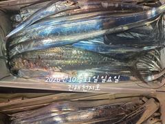 내만갈치 계속 호조항 이어지고~~~예약가능