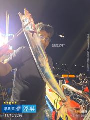 준내만갈치(텐야. 텐야) 조황입니다.