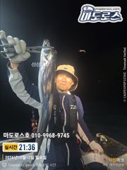 본격적 갈치시즌 초대박 !!