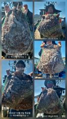 돌문어 목요일11자리여유 K급 덩치들도 많이 보이고 , 마릿수도 좋습니다. 목요일부터 돌문어 황금물때 시작합니다. 망태기 가득 가득 채우러 가봅시다. 출조하실분 연락주세요. 구석구석 열심히 찾아보겠습니다. 감사합니다