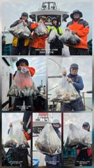 10.13.뉴마린호 갑오징어 조황 입니다.