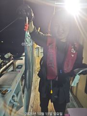 내만갈치 씨알 마릿수 다 좋고 수목금 예약가능