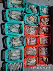 [진해] 진해뉴월드피싱 ~ 낼 목요일 월드1호 쭈꾸미 탐사출조,월드2호 …