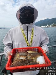 내일 갑오징어 5분예약중 출조확정 입니다 금요일 출조확정 자리여유 많습니다
