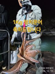 삼천포 마린보이 10. 14. 수요일 부터 풍성한 가을 덩치문어 주간/야간 출항합니다.