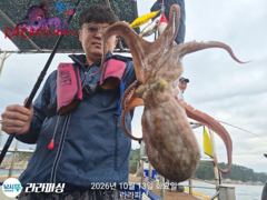 (야간문어) 금.토.일.예약가능 쪽쪽 덩치들 잡으로 갑니다