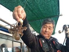 [사천] 쭈꾸미 세자리수조황