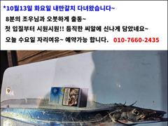[14일입항] "내만갈치"3지이상까지!! 빵빵한 씨알 손맛보며 쿨러 묵직하게 담았네요~ [일요일부터예약가능] 010-7660-2435