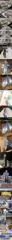 토욜=야간 돌문어/목.금=먼바다왕갈치(외줄.16석) 예약가능
