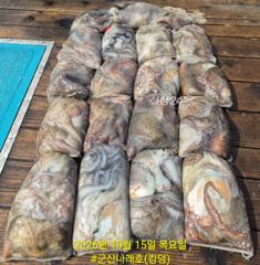 군산나래호(킹덤) 주간문어 10/15 자리 여유있습니다