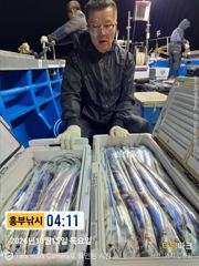 미친갈치들 폭탄갈치 두쿨 만만쿨 얼음없이 완전대박 오늘 자리여유