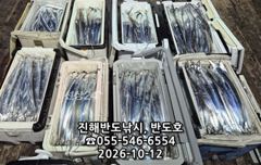 14일,내만갈치,대박행진,엄청나게 나옵니다.오늘출항(목,금~예약가능)