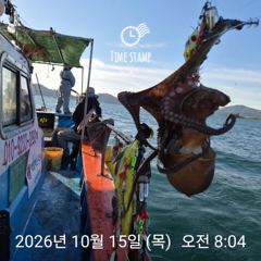 씨알 좋은 문어는 꾸준히