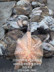 군산 대호피싱 15일 8명의 갑오징어 마무리 소식 전합니다 문어도 나와주네요