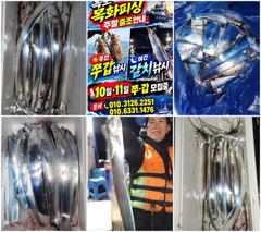 목화피싱10/14일야간갈치낚시조황씨앟좋은걸잡았네요.대신마릿수작네요.