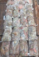 10월15일-문어 왕문어 손맛 보러 오세요
