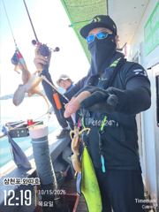 목요일 왕쭈꾸미 조황입니다 오늘도 나이스~~