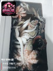 [여수반하나호]내일!! 문어 7만원!소수인원/황제낚시!!사이즈 좋은 문어 뜯으러 가실분 모십니다.