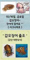 ▶ 10/15. 가을! 광어~생미끼. 조황. 뉴-발리호.