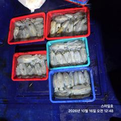 (내만 팁런)무늬 대박행진 장원 28수 총 97수~스마일호(오늘 예약)