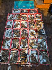 갑오징어퍼 담고 왔습니다!