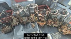 (王문어)키로 행진 원도권 사이즈 비교불가~현서피싱(17일예약)