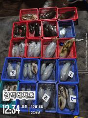 [통영] [팁런]k.와전무시급들(토요일 출항확정.자리여유)