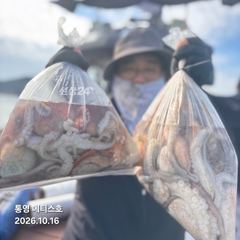 통영] 문어 사량도 굴어장 조황 16일(금) 통영 메티스호