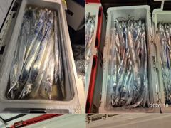 5시간전 [제주] 10월16일제주엔에스호 무늬오징어 팁런 조황
