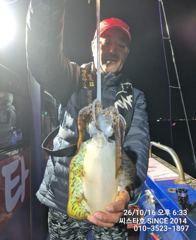 (씨스타호) 16일 고구마부터 K급까지